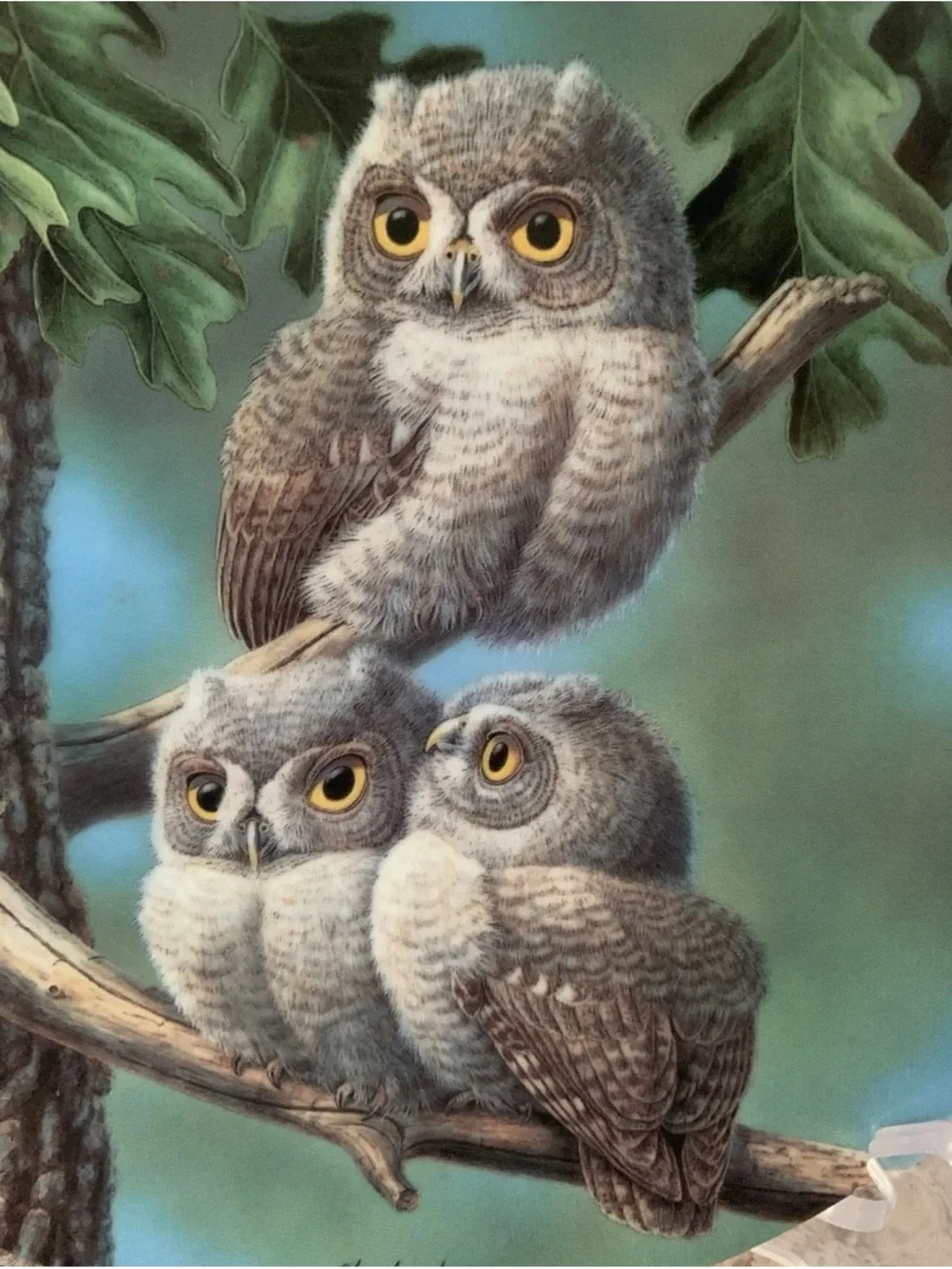Vintage Owl Plate Lot “Peek-a-Whoo Screech Owls” “Twilight Glow”